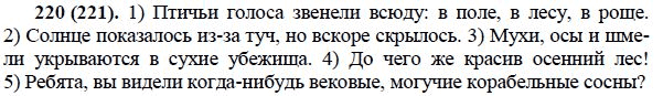 Схема предложения ребята вы видели когда нибудь вековые могучие корабельные сосны