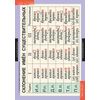 Комплект таблиц. Русский язык. Основные правила орфографии и пунктуации. 5-9 класс (12 таблиц) + методика