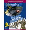 Penguins/Race to the South Pole