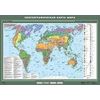 Зоогеографическая карта мира. Плакат