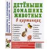Детеныши домашних животных в картинках. Наглядное пособие для педагогов, логопедов, воспитателей и родителей