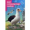 Мир серебристой чайки