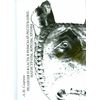 Религия и власть в Римской Республике. Магистраты, жрецы, храмы