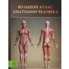 Большой атлас анатомии человека