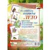 Календарь погоды. Лето. Наглядно-тематический комплект. ФГОС ДО