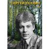 DVD. Сергей Есенин