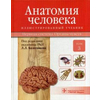 Анатомия человека. Учебник. В 3-х томах. Том 3: Нервная система. Органы чувств. Гриф МО РФ