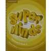 Super Minds Level 5 Teacher's Book