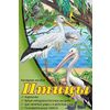 Наглядное пособие. Птицы