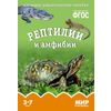 Мир в картинках. Рептилии и амфибии. ФГОС