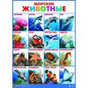 Морские животные. Плакат