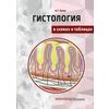 Гистология. В схемах и таблицах. Учебное пособие