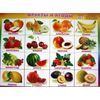 Плакат. Фрукты и ягоды