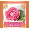 Мини-открытка 